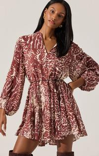 Bailey Dress Rust Print