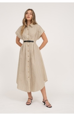 Stripe Button Down Belted Dress