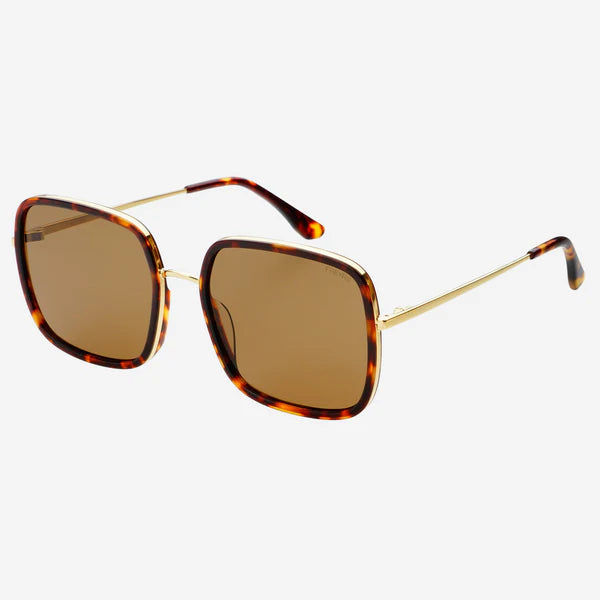 Cosmo Acetate Womens Square Sunglasses Dark Tortoise
