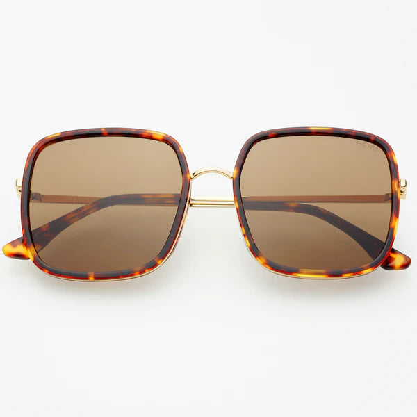 Cosmo Acetate Womens Square Sunglasses Dark Tortoise