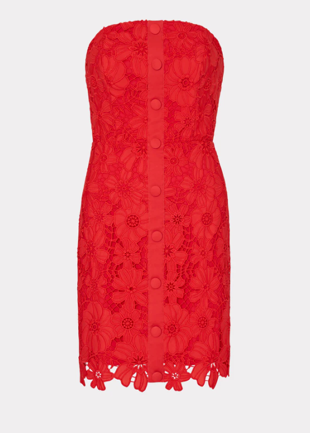 Roja Lace Mini Dress