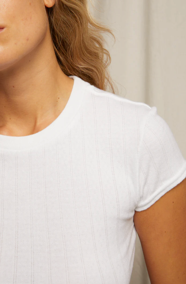 Jude Pointelle Tee