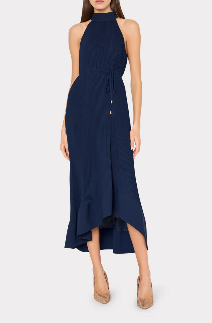 Nalani Pleated Dress