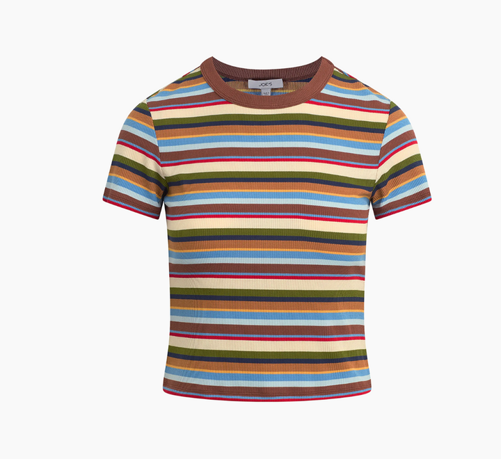The Baby Tee Multi Variegated