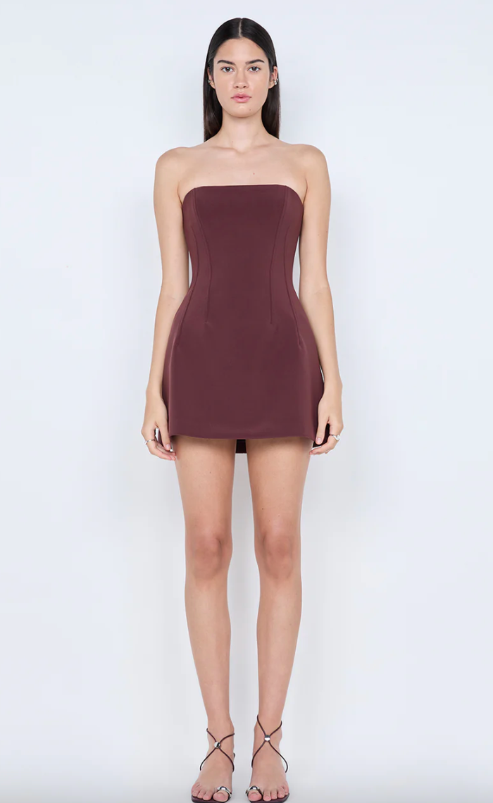 Romee Strapless Mini Dress Raisin