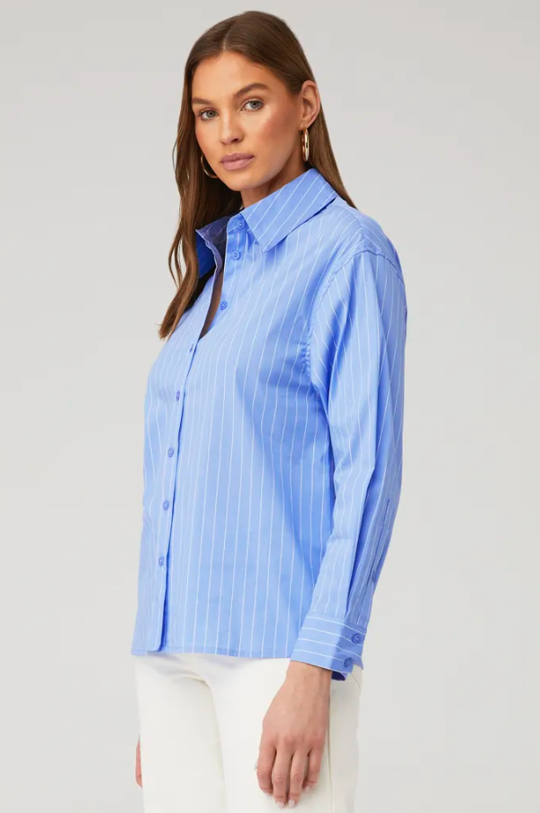 Oxford Button Down