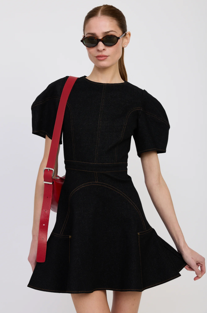 Aaliyah Mini Dress Black