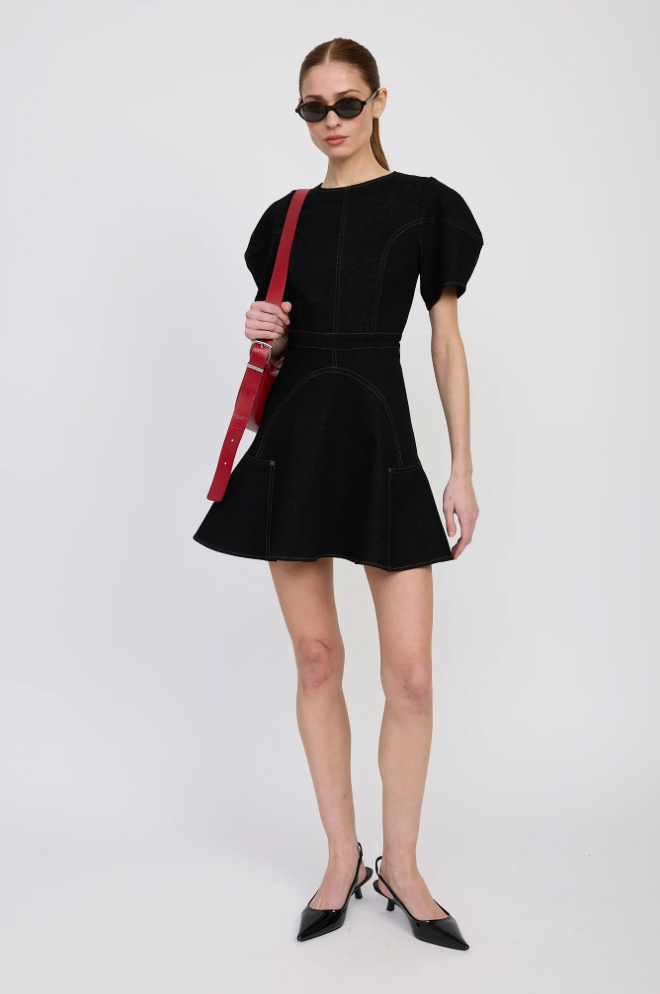 Aaliyah Mini Dress Black