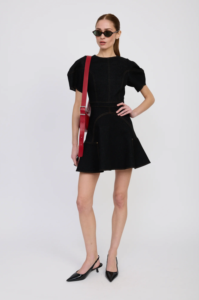 Aaliyah Mini Dress Black