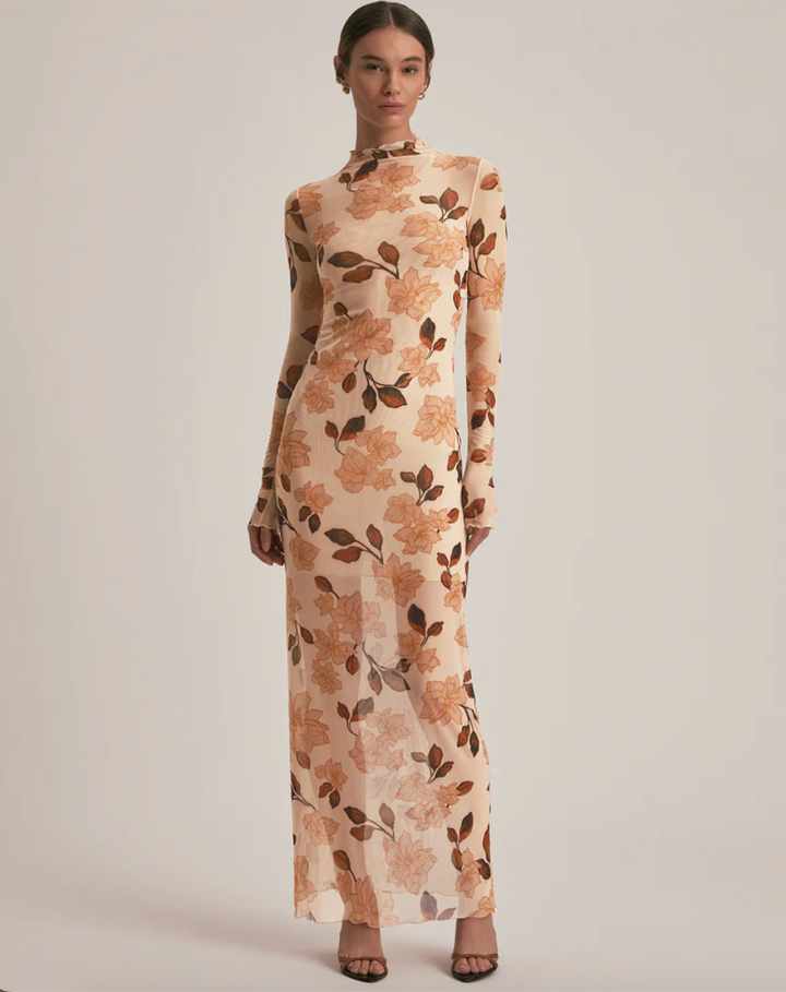 The Sheer Fantasy Dress