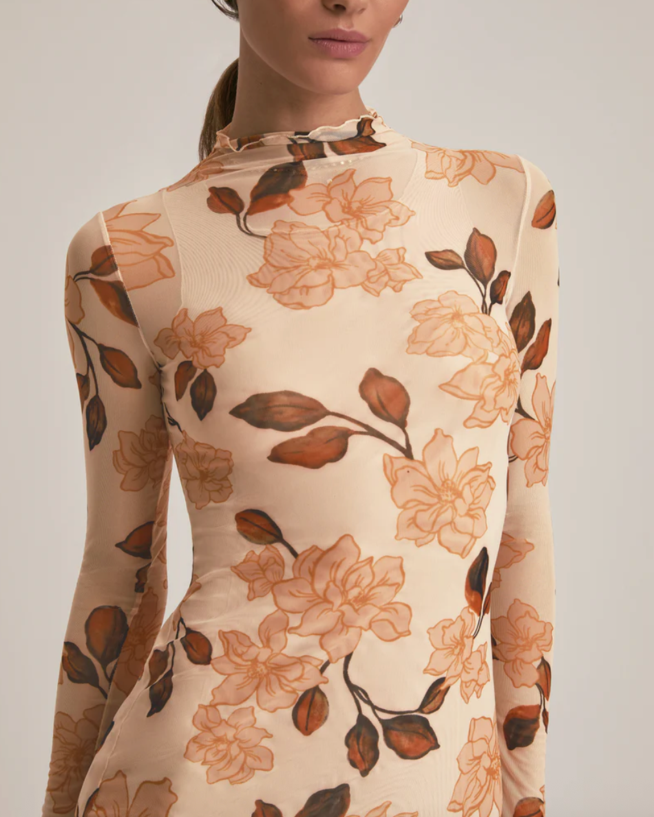 The Sheer Fantasy Dress