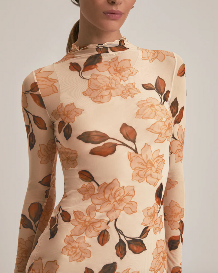 The Sheer Fantasy Dress