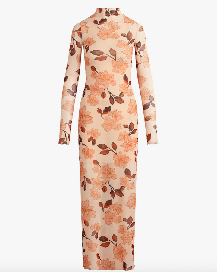 The Sheer Fantasy Dress