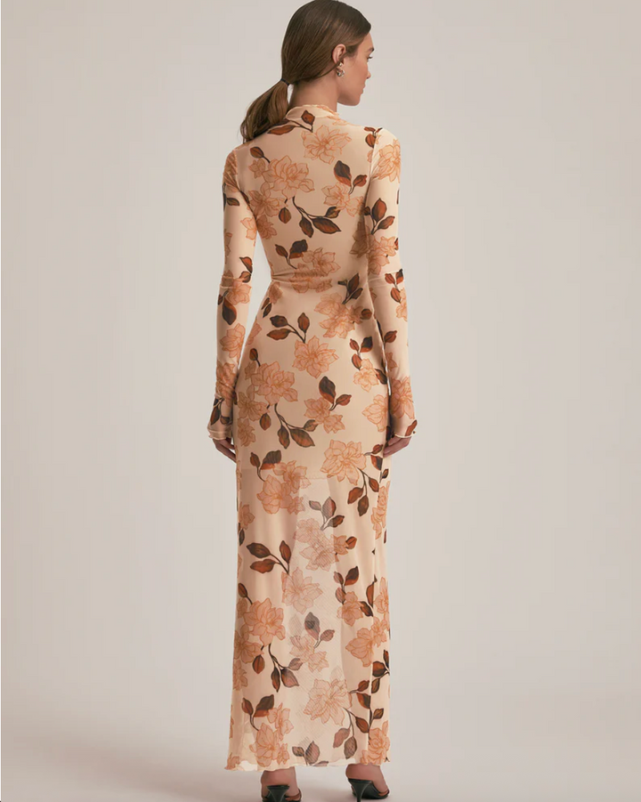 The Sheer Fantasy Dress