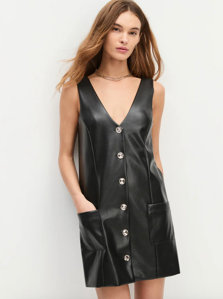 The Sasha Dress