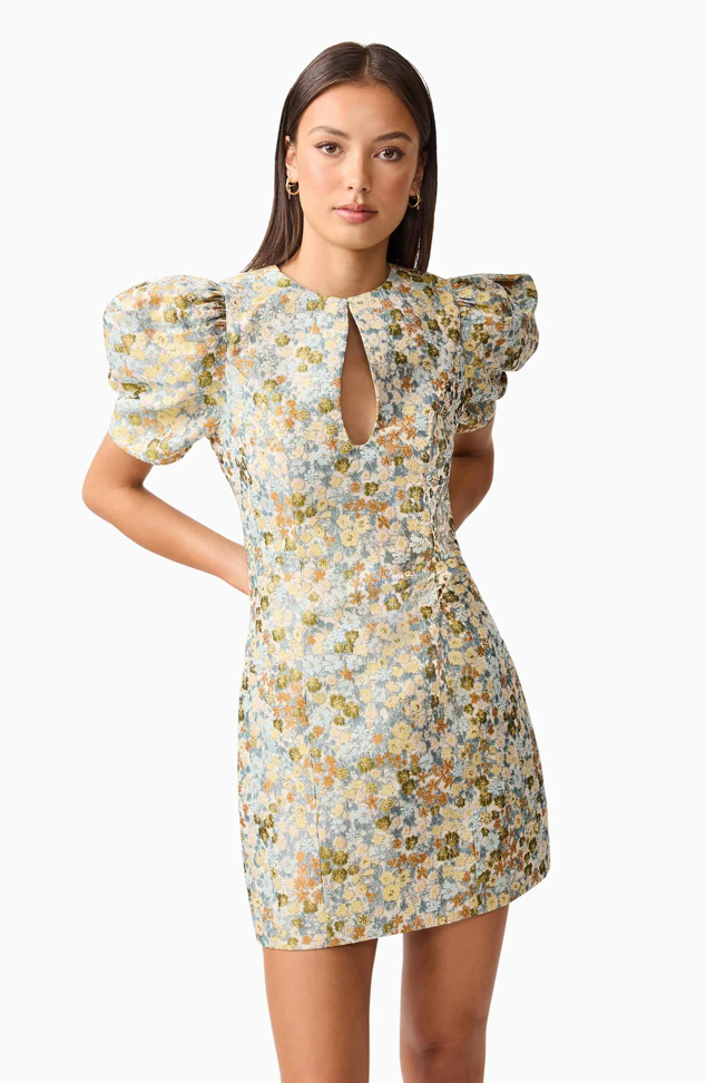 Tasmin Puff Sleeve Mini Dress