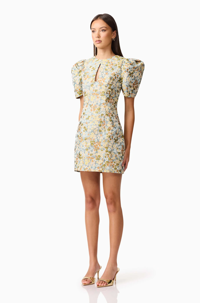 Tasmin Puff Sleeve Mini Dress