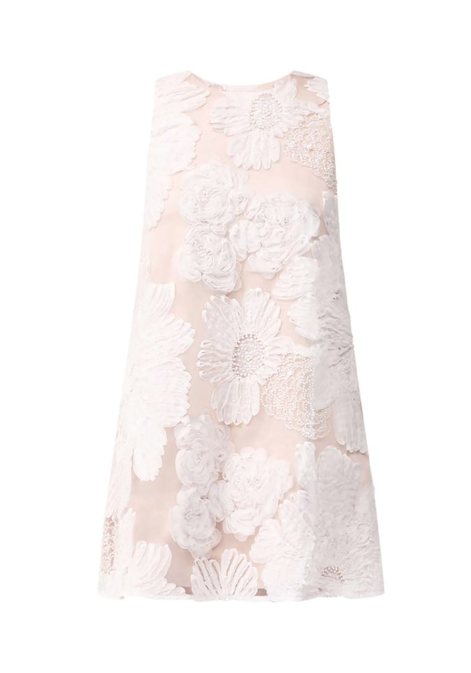 Roxana Shift Mini Dress