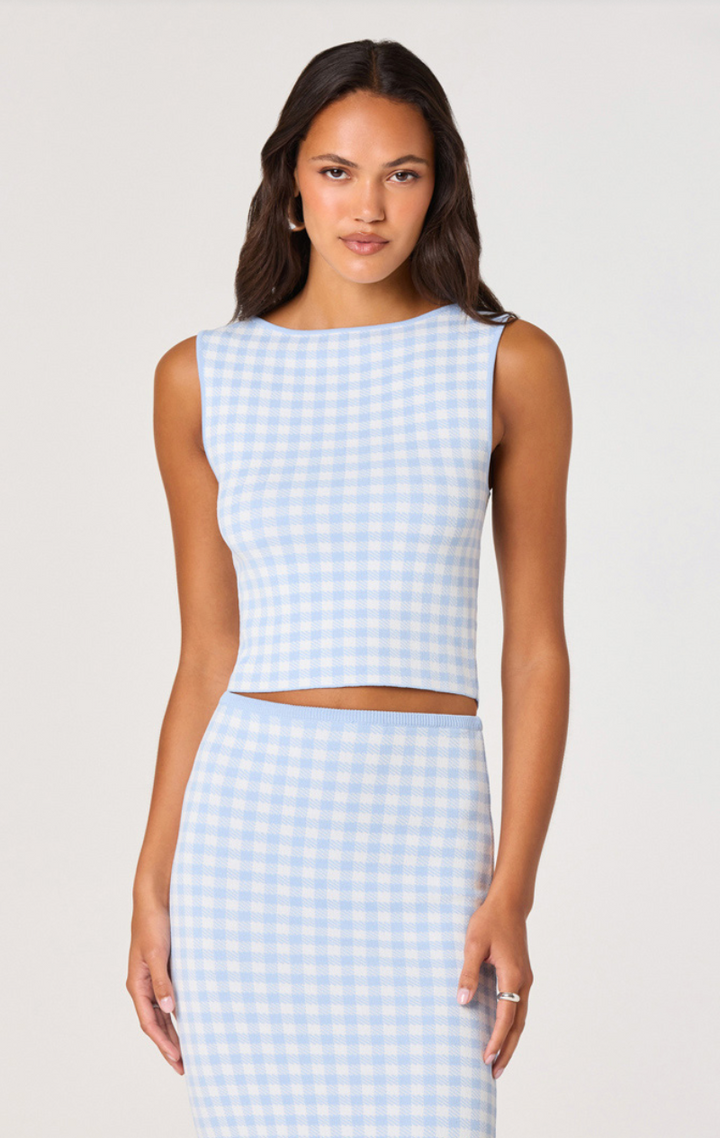 Babbett Sweater Top Blue Gingham