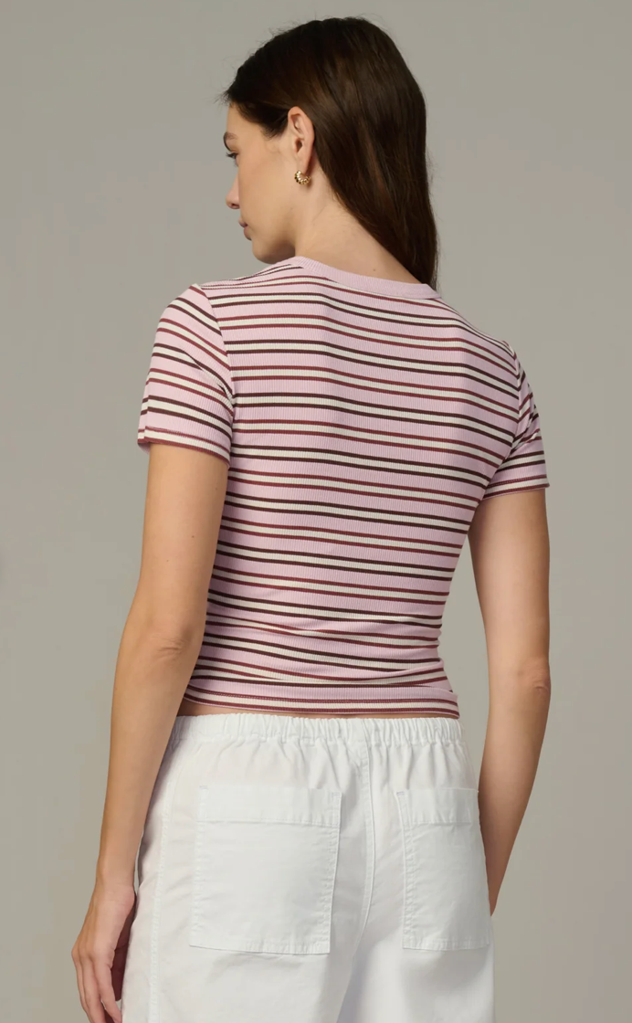 The Baby Tee Blush/Ecru Stripe