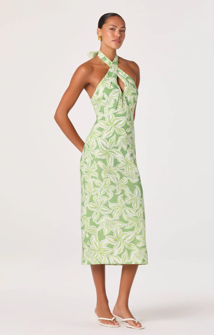 Anita Dress